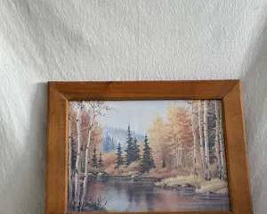 Autumn Foliage, Aspens and Evergreens Signed by Sharon Hagar