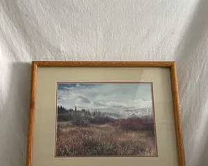 Framed Landscape Print with Natural Scenic Imagery