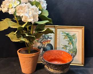 Antique Botanical Illustrations And Vessel