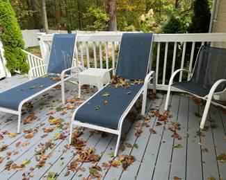 Suncoast outdoor furniture