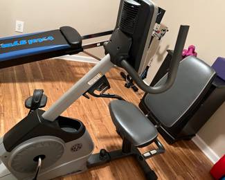 Gold's gym recumbent bike