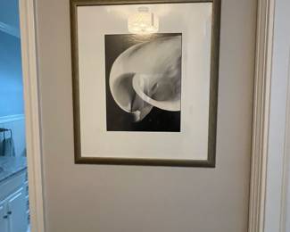 Another cala lily art 