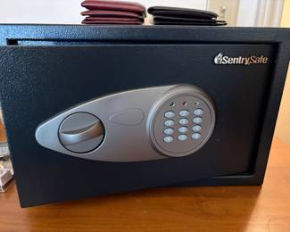 Sentry Sage with combination