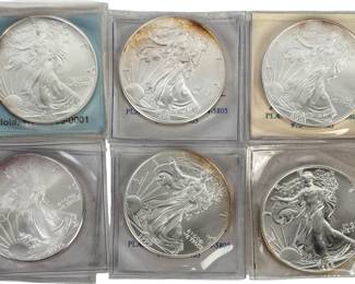 (6) Silver American Eagles