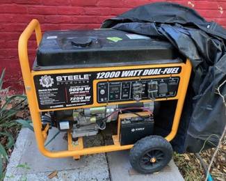 Brand new, never used, 12000 Watt Dual-Fuel Steele generator