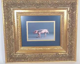 Framed Flying Pig Photograph