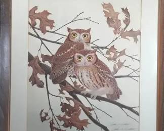 John Ruthven Screech Owls Framed Lithograph