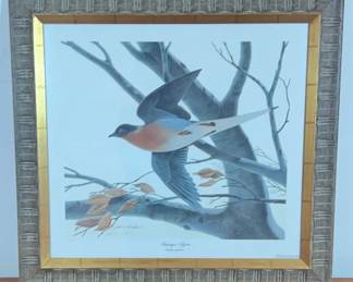 John A Ruthven Passenger Pigeon Print
