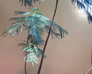 Norfolk Island Pine Live Plant