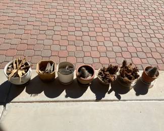 Seven Special Cactus Pots