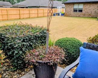 #71+#72+#73+#74  Tiki Torch Planter   $85 each