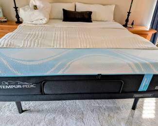 #33  King Tempur-Ergo Smart Bed   $3500