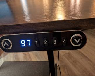 #3  Standup Adjustable Desk  54"Wx30"Dx31"H   $140