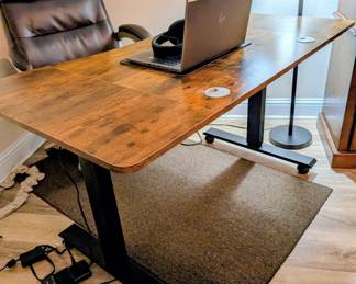 #3  Standup Adjustable Desk  54"Wx30"Dx31"H   $140