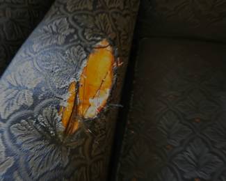 #42	Green Heritage House chair (as-is ripped arm rest)	 $20.00