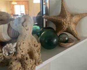 vintage shells, coral and buoys.