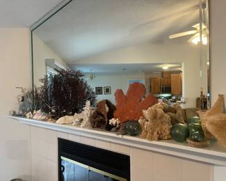 Vintage shells, coral, glass buoys