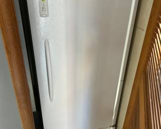 Stand up freezer