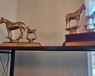 Vintage Brazoria County Fair Trophies - He used to Rope