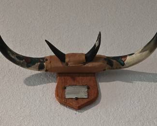 Another Horn Mount
