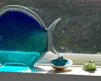 Turtle Fish Collection