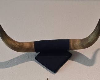 Longhorn Mount