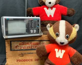 FL116Emerson Portable TV Radio  Wolverines
