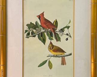 John James Audubon (1785-1851) Print - "Cardinal Grosbeak" | This is a framed print of two Northern Cardinals, one male bright in red and one female in a muted yellow/brown color, from John James Audubon's "Birds of America" series, which highlights 435 different types of birds.
Print.
Framed (gold frame, faux bamboo) and matted (white)
Signed by artist: N/A
Titled by artist: "Cardinal Grosbeak, PLATE CLIX"  (from French: "Large Beak Cardinals, Plate #159") 
Numbered by artist: N/A - h. 17.5 x w. 13 in