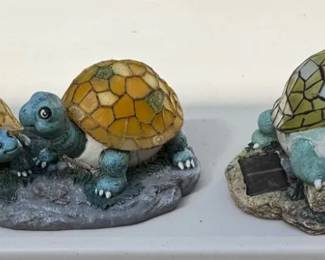 Two Turtle Pairs