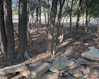 299Oct 22 2025 10 09pm4x6M