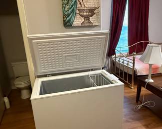 Professional Series Chest Freezer - NEW