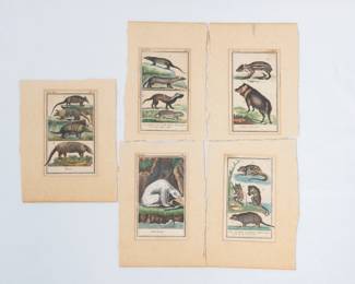 Five antique hand-colored engravings of animals by French naturalist Georges Louis Leclerc, Comte de Buffon, on pages likely from volumes of his "Histoire naturelle générale et particulière," which was published from 1749 until his death in 1788.