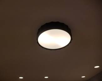 Ceiling light fixture