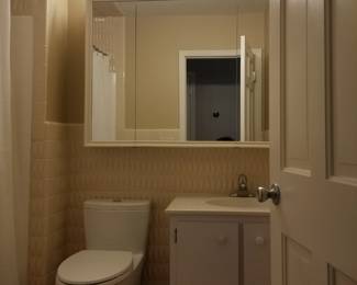 Bath vanity; vanity mirror; vanity light; TOTO toilet