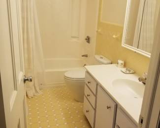 Bath vanity; vanity mirror; vanity light; TOTO toilet