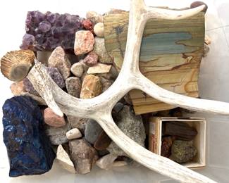 Lot 9182 Natural Curiosities Rocks  Antlers