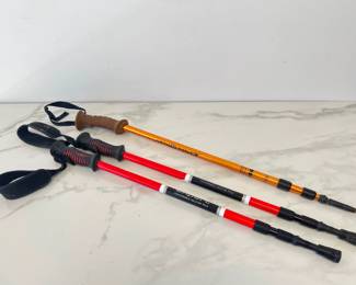 Lot 8779 New Balance  Eddie Bauer Walking Sticks