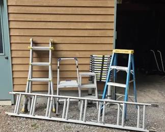 6 Assorted Ladders Werner, Costco