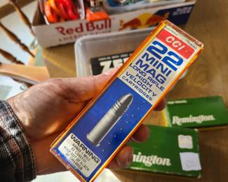 mixed firearm ammo: 38 Special, 22 cal