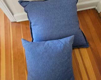 Pair Chambray Pillows