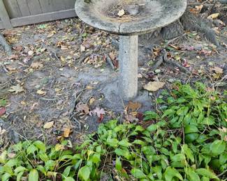Cast Birdbath