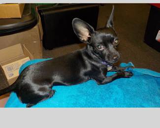 Lodi wants to be in the photos