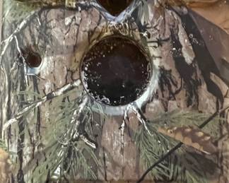 Moultrie Camouflage Camera 