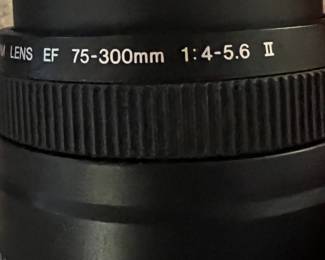 Canon Image Stabilizer 75-300