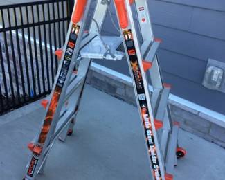 LITTLE GIANT XTREME Ladder