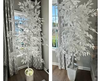 Two White Faux Ficus Trees