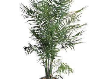 7 Faux Palm Plant