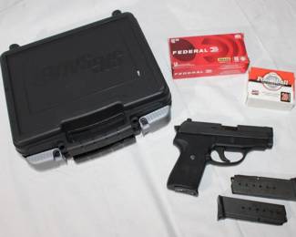 Sig Sauer S&W 40 P239 #56A002348 
2 mags and 69 rounds