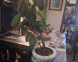 Live House Plant with Pot and Stand