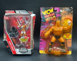 Wrestling Action Figures